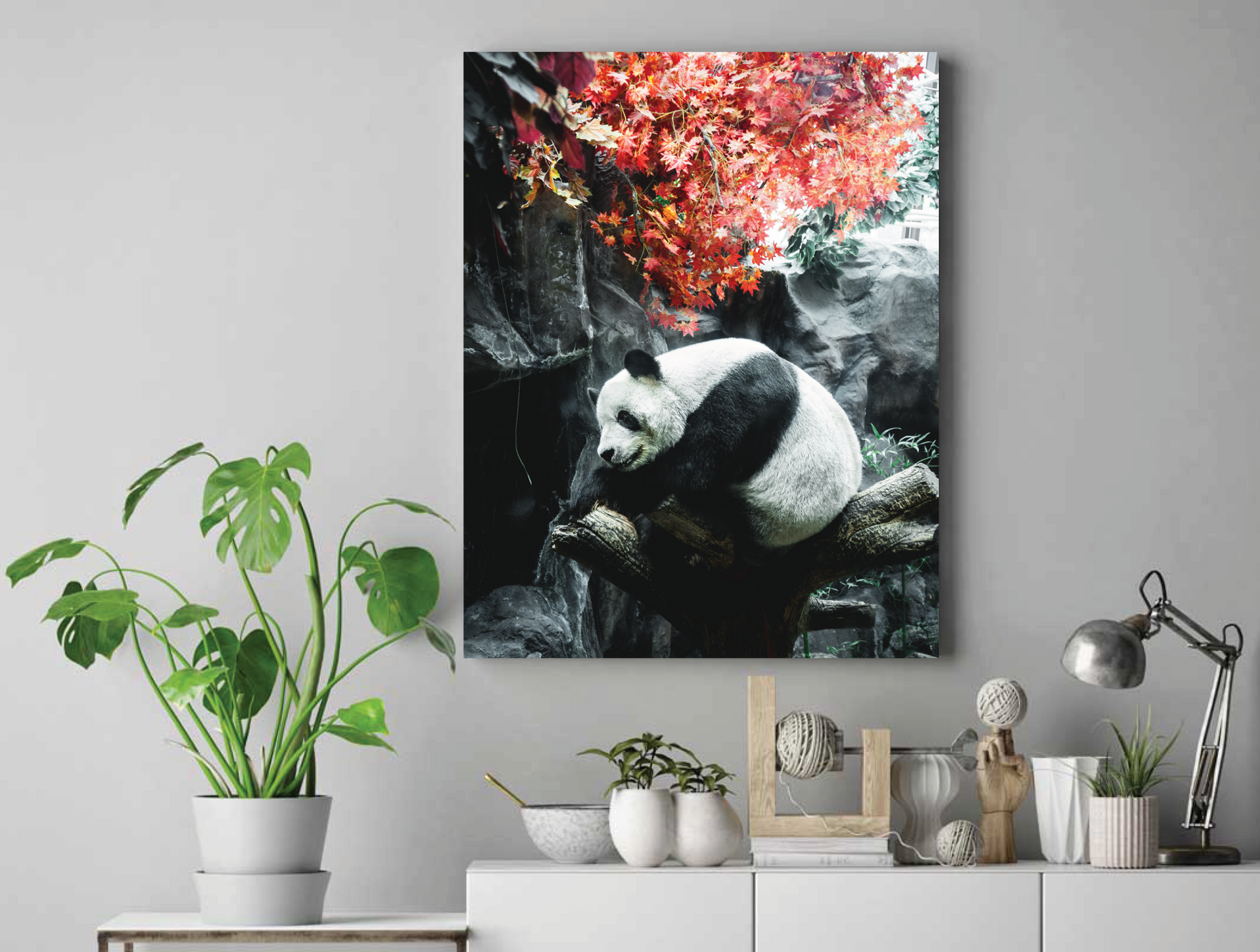 Panda Canvas